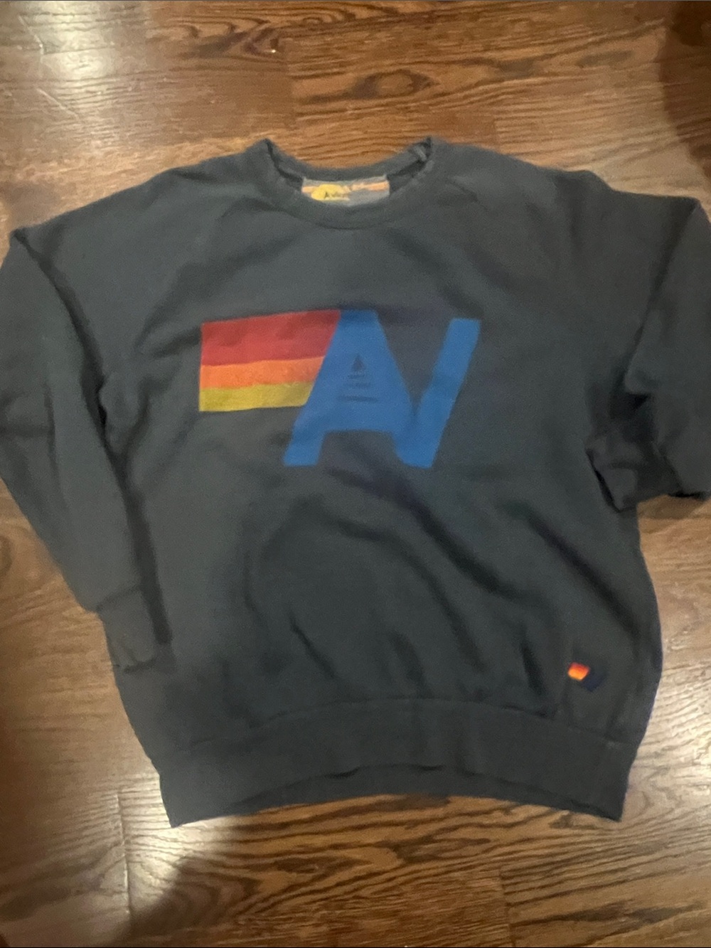 Aviator Nation Navy Crewneck Sweatshirt with Rainbow Stripe and Blue Logo